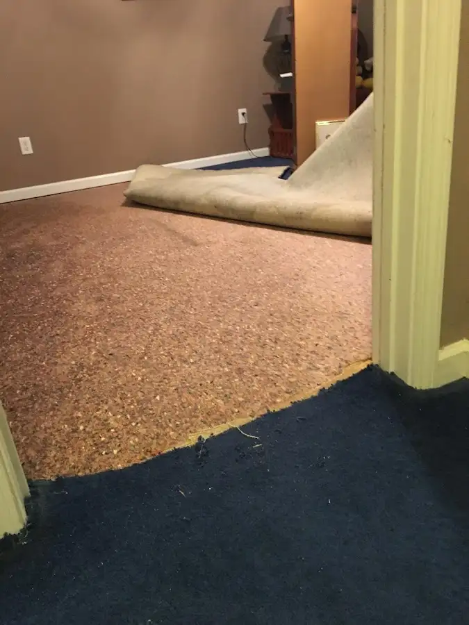 Carpet pad removal revealing water damage during Drying & Dehumidification in Florida Gulf Coast University